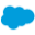 Salesforce app icon